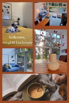 Chill Garden Loft Balatonkenese